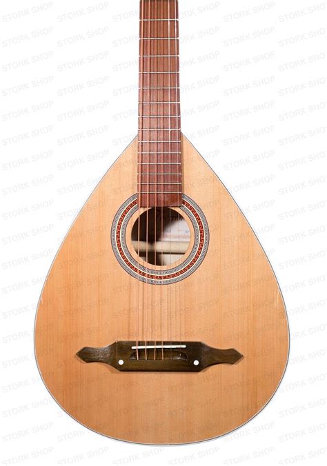 New Acoustic Lute Guitar Ukrainian Kobza Six Strings Natural Spruce