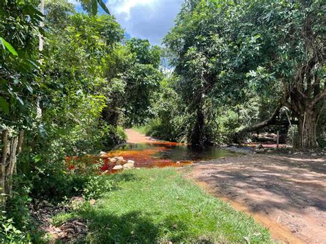 Cachoeira Das Arapongas Itaitu Jacobina Ba Viaje Norma