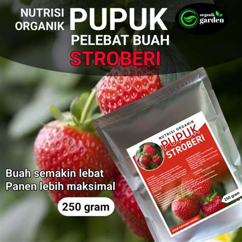 Jual Pupuk Pelebat Buah Stroberi Booster Nutrisi Organik Gram