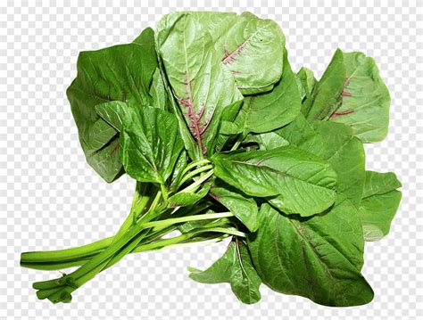 Green Leafy Vegetable Spinach Amaranthus Viridis Amaranthus Dubius