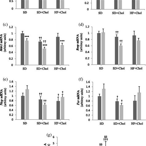 Hepatic Mrna Expression Of Genes Related To Bile Acid Metabolism In