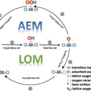 Adsorbate Evolving Mechanism Aem And Lattice Oxygen Mechanism Lom