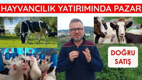 YUMURTA 4 TL İNEK SÜTÜ 20 TL KOYUN KEÇİ SÜTÜ 25 TL SATILDIĞI YERLER