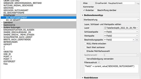 Geopackage QGIS QField Wrong Entry From Value Relation Geographic