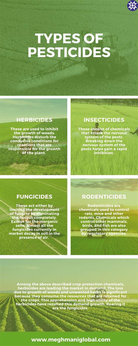 What Are The Different Types Of Pesticides Infographic