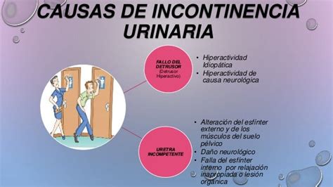 Incontinencia Urinaria