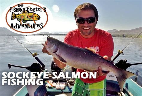 How To Catch Sockeye Salmon Osoyoos Lake Weekend Sportsman