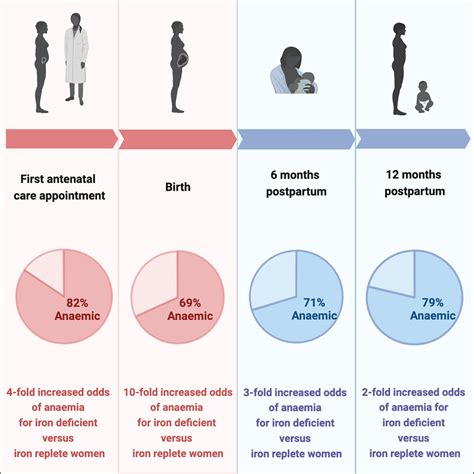 Quantifying Differences In Iron Deficiency Attributable Anemia During