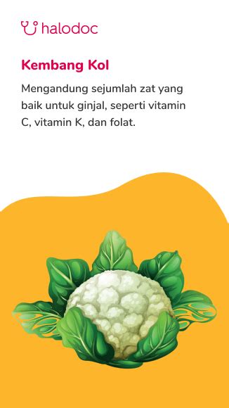 6 Makanan Yang Harus Dihindari Pengidap Gagal Ginjal