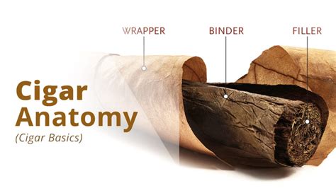 Different Ways To Cut A Cigar Without A Cutter Cigars Experts