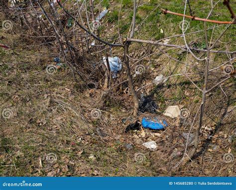 Concepto Pl Stico De La Contaminaci N Basura En Bosque En Primavera