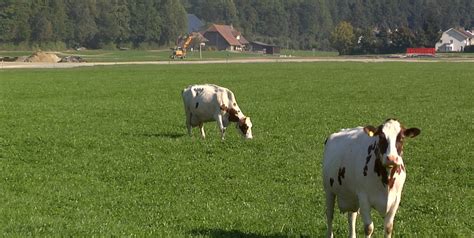 Neo Mein Radio Ein Jahr Nach Dem Esaf In Burgdorf Erinnert Ein Film