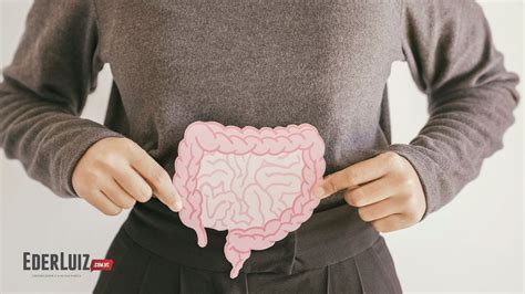 C Ncer De Intestino Quais Alimentos Ajudam Na Preven O Da Doen A E