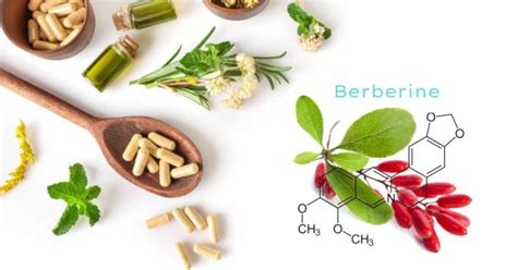 Berberine for diarrhea | OrganiClinic