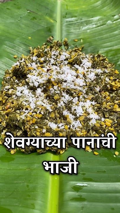 शेवग्याच्या पानांची भाजी शेगलाची भाजी Shevgyachya Pannanchi Bhaji