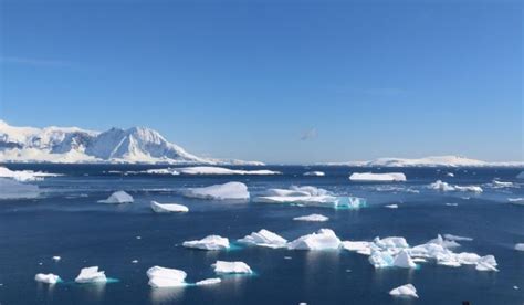 National Geographic Orion Antarctica Travel Centre