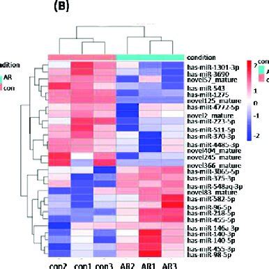 CircRNA MiRNA And MRNA Expression Clustered Heat Map Showing All