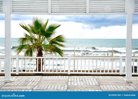 Palm Tree At Stormy Waves Beach Stock Image Image Of Coastal Ocean