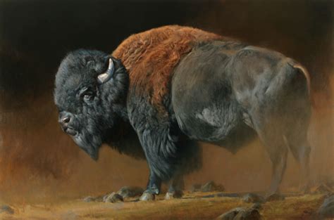 an oil painting of a bison standing on the ground in front of a dark ...