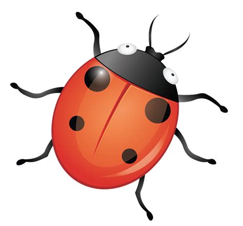 Download Bug, Insect, Ladybug. Royalty-Free Stock Illustration Image - Pixabay