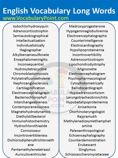 Longest Words In English Vocabulary Point