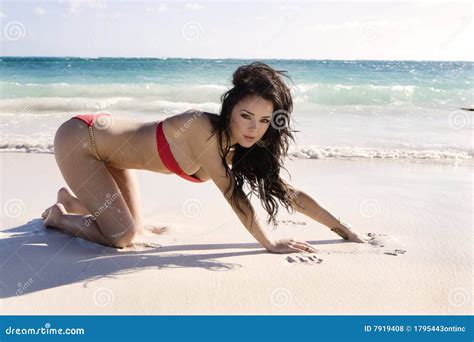 Brunette Model In Red Bikini Stock Photo Image Of Asian Brunette