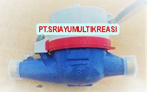 Water Meter Itron 15 Mm PT SRIAYU MULTI KREASI