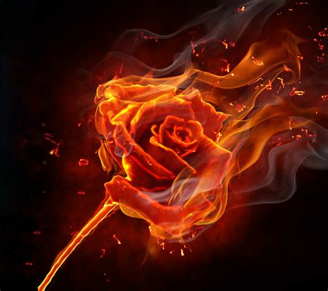 Fire Flower Wallpaper Wallpapersafari