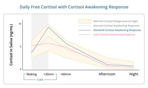 Recovering From Stress After The Holidays Dutch Test