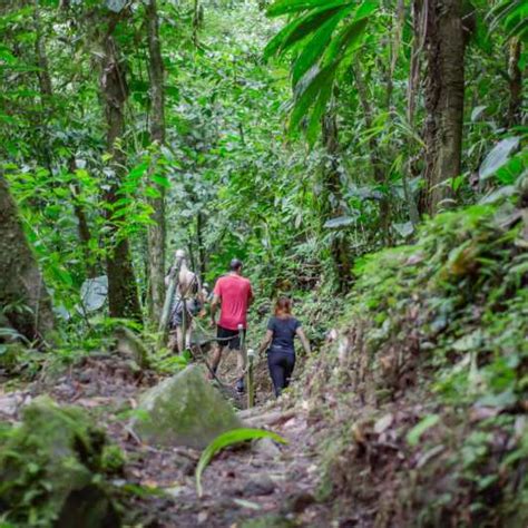 La Fortuna Tirolinas Y Paseo Guiado Por El Bosque Getyourguide