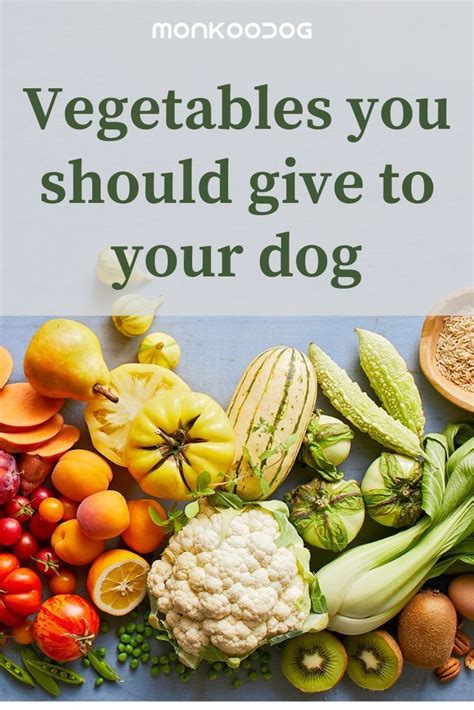 Vegetables You Should Give To Your Dog Dog Food Recipes Healthy Dog