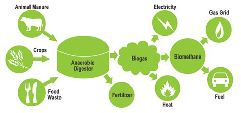 biogas-production-utility-process - Distant Relatives