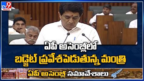 Ap Budget