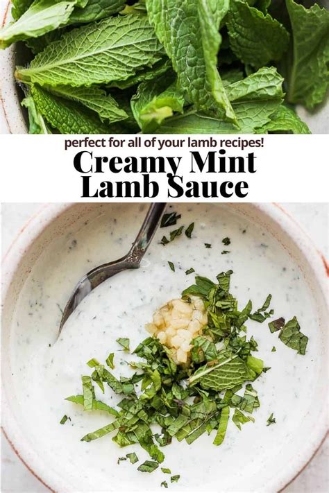 Lamb Sauce Recipes Lamb Loin Chop Recipes Lamb Steak Recipes Mint