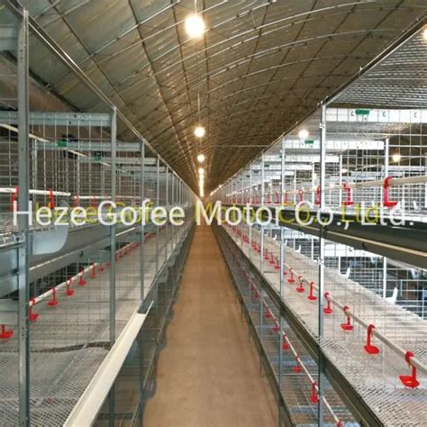 H Type Chicken Broiler Farming Equipmet Cage Tiers Hot Galvanized