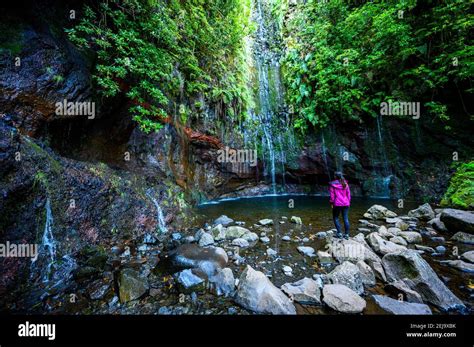 Fontes Waterfall Randonn E Levada Trail Dans La For T De Laurel