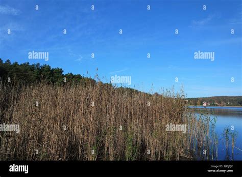 Jezioro Wisea Hi Res Stock Photography And Images Alamy