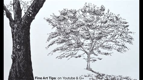 How To Draw A Tree With Brush Pens An Oak Tree How To Draw Trees