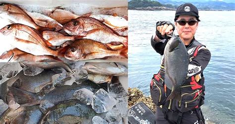 釣果レポート 6月17日・20日 梅雨グレand真鯛乱舞鹿児島県阿久根市「高ノ口」・川内市甑島「由良島沖」 株式会社浜市 総合釣り餌