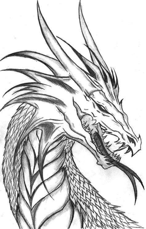 Diy Sketching | Cool dragon drawings, Realistic dragon, Dragon drawings in pencil