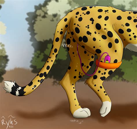 Rule 34 Ambiguous Fluids Ambiguous Gender Ass Cheetah Domestic Cat