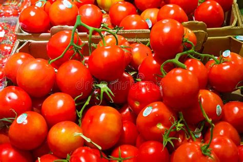 Ripe Red Cherry Tomatoes On Vine In Grocery Market Stock Photo Image