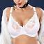 Plus Size Womens Bras Lace Aabcd Dddef Underwired Brassiere Sexy Lingerie Ebay