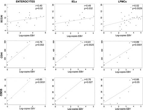 Correlation Between EpsteinBarr Virus Cellular Load And Disease