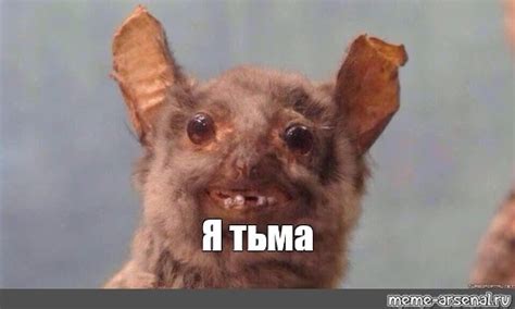 Создать мем "летучая мышь смешная, мем летучая мышь, упоротая летучая ...