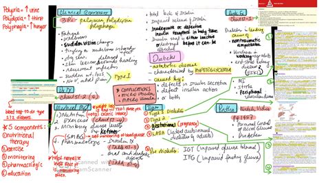 Unit 4-Diabetes Concept Maps - 12392 - STC - Studocu