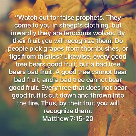 Matthew 7 15 20 “watch Out For False Prophets They Come To You In Sheep’s Clothing But