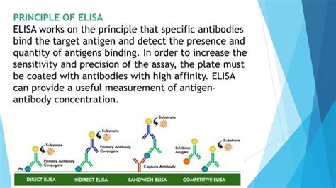 Applications Of Elisa Pptx Introductionprinciple And Applications Ppt