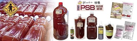 Amazon 桜めだかpsb培養セット 高濃度 光合成細菌 Psb 1リットル ふやしてpsb 200ml 熱帯魚・金魚・メダカ用