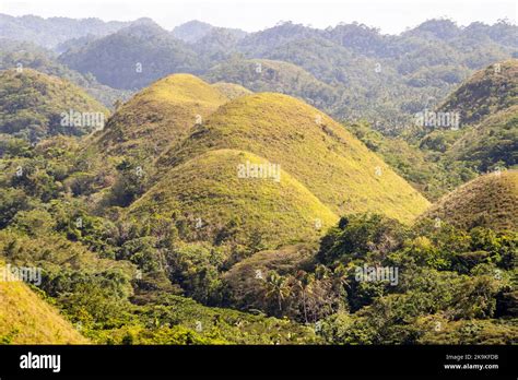 The Famous Chocolate Hills Of Bohol Philippines Listed As A Unesco